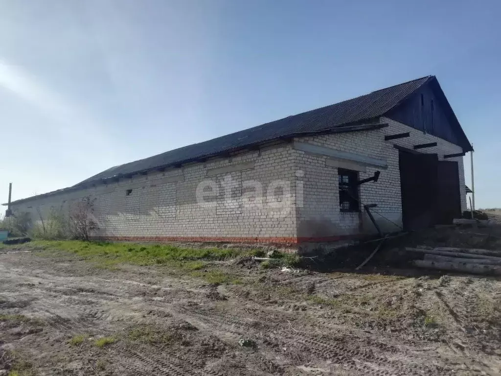 Склад в Калужская область, Мещовский муниципальный округ, Серпейск ... - Фото 1