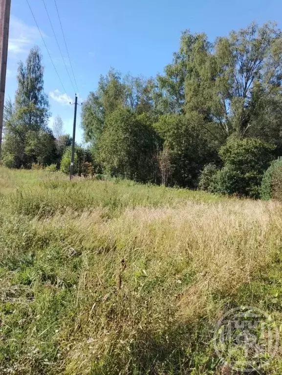 Участок в Ленинградская область, Лужский район, пос. Оредеж ул. ... - Фото 1