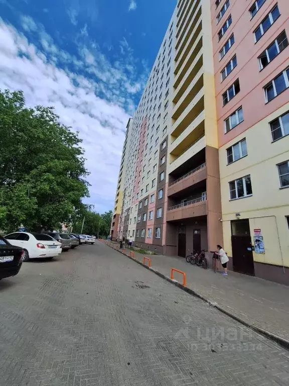 Студия Кировская область, Киров Заводская ул., 4 (23.3 м) - Фото 0