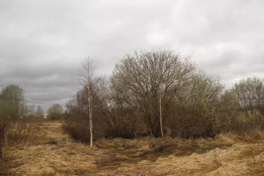 Участок в Московская область, Шаховская муниципальный округ, д. ... - Фото 1