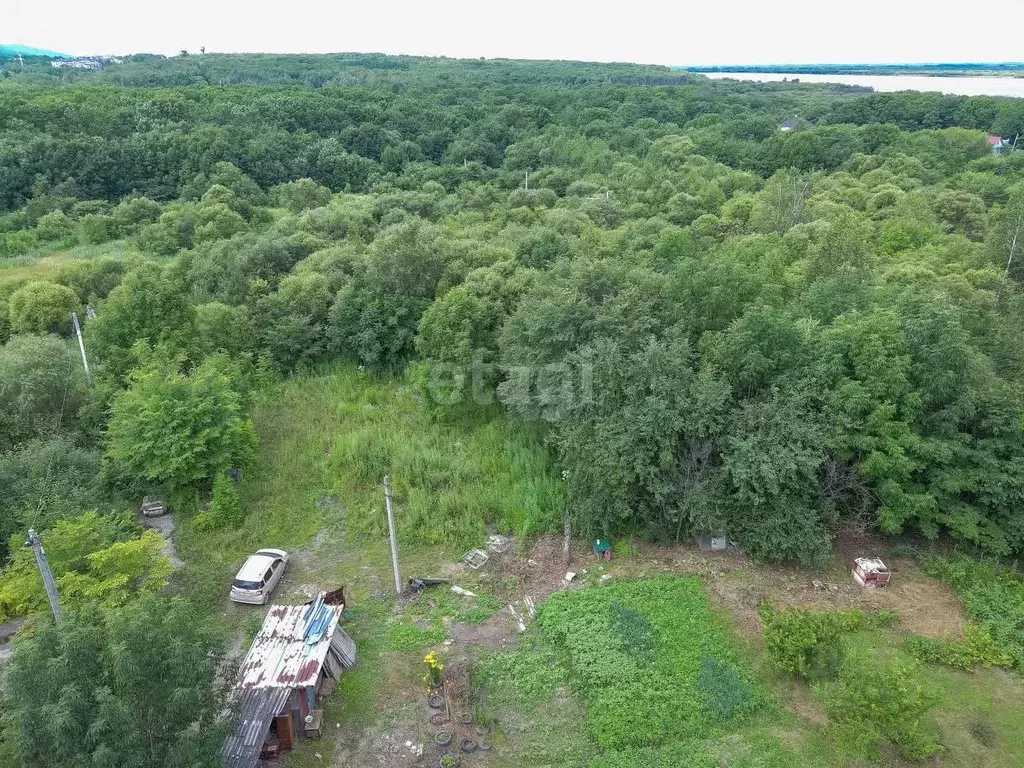 Участок в Хабаровский край, Хабаровский район, с. Новотроицкое  (12.3 ... - Фото 2