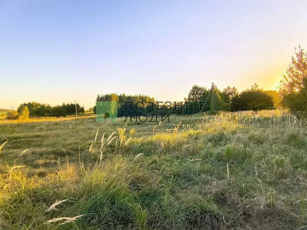 Участок в Орловская область, Орловский муниципальный округ, д. ... - Фото 2