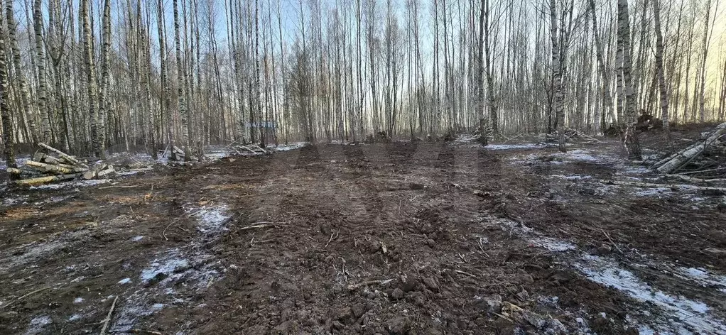 Участок 9,5 сот. (ИЖС) - Фото 0