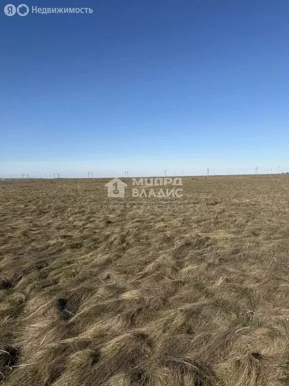 Участок в село Троицкое, 1-я Островная улица, 13 (5.01 м) - Фото 2