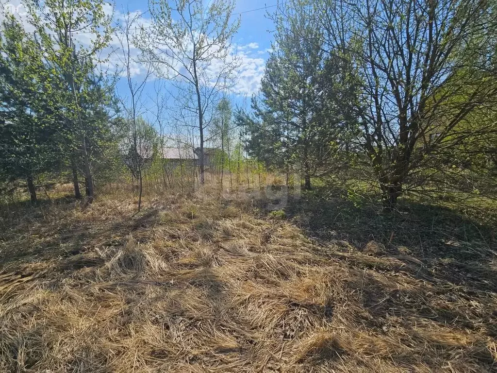 Участок в Московская область, городской округ Коломна, село Лысцево ... - Фото 1