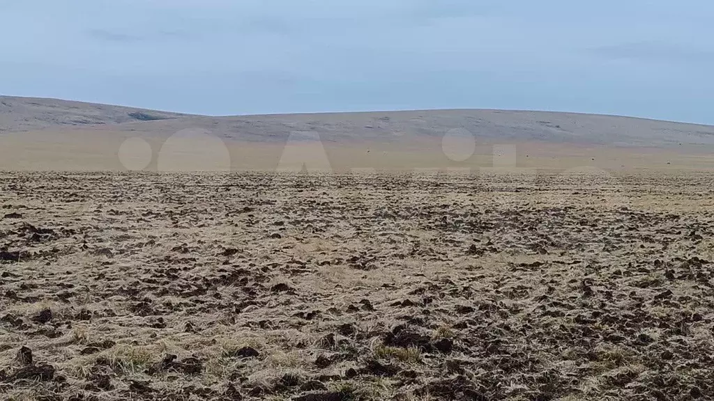 Участок 1,6 га (СНТ, ДНП) - Фото 0