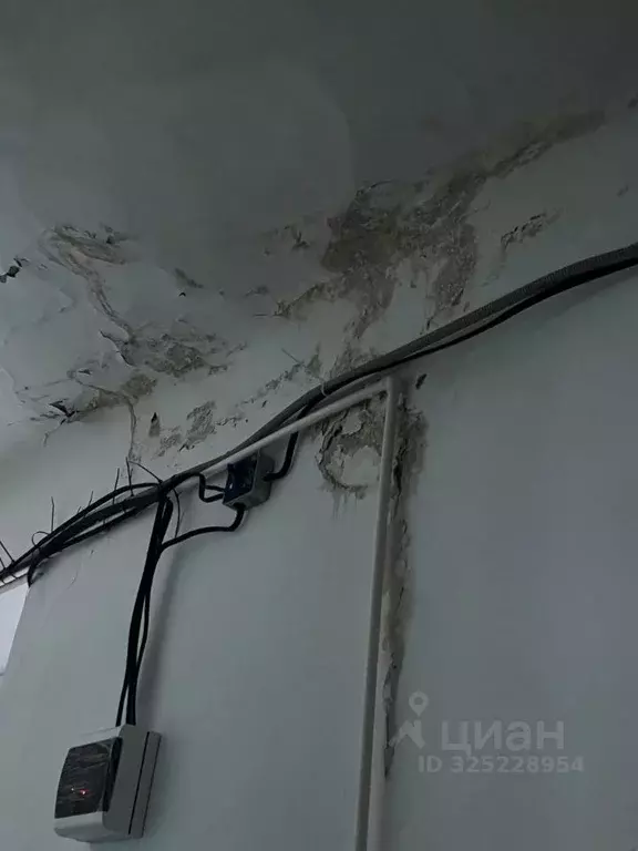 Помещение свободного назначения в Пермский край, Усолье Усольский ... - Фото 2