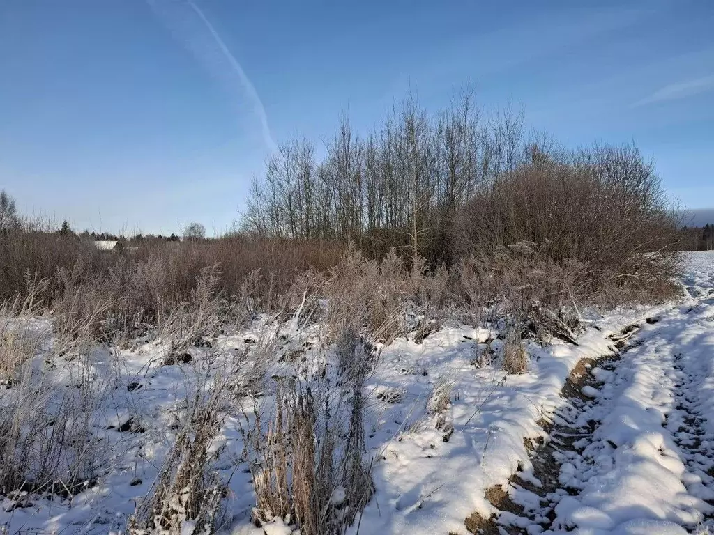 Участок в Московская область, Пушкинский городской округ, д. ... - Фото 0