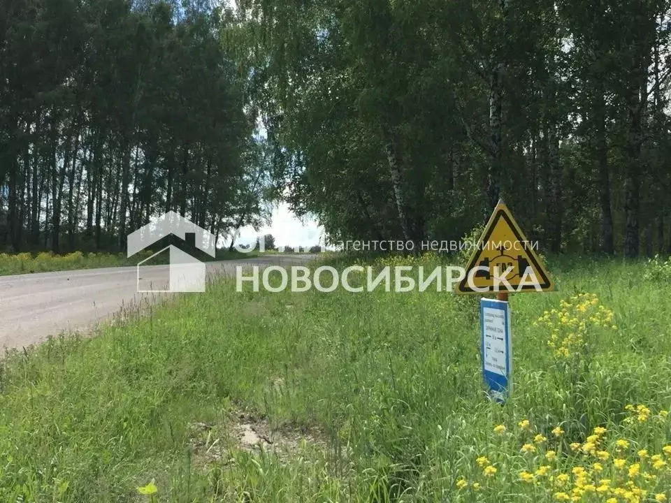 Участок в Новосибирская область, Искитимский район, с. Верх-Коен  ... - Фото 0