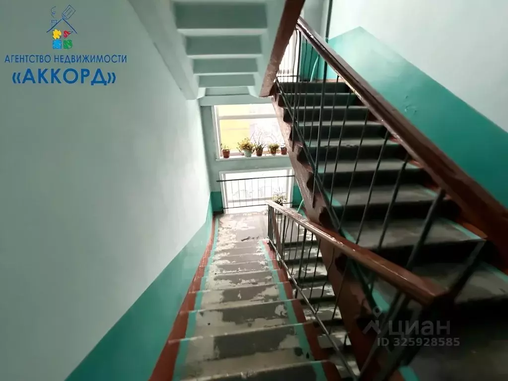 4-к кв. Алтайский край, Бийск ул. Льнокомбинат, 83 (58.2 м) - Фото 2