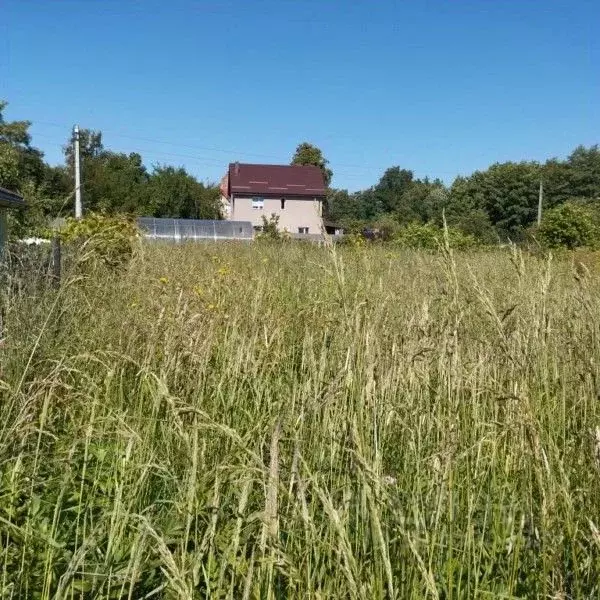 Участок в Калининградская область, Гурьевск ул. Новая Кленовая (11.0 ... - Фото 2