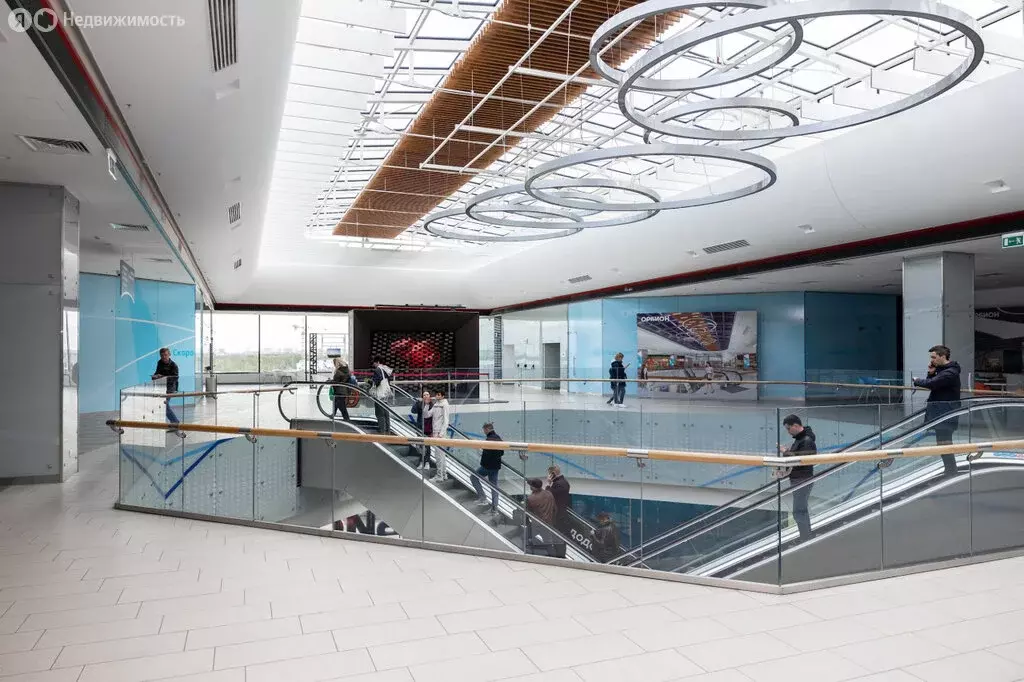 Офис (1655 м) - Фото 1