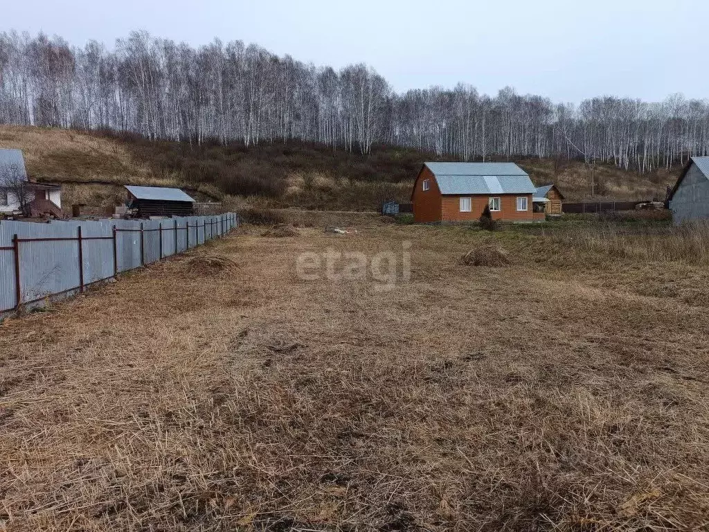 Участок в Новосибирская область, Новосибирский район, Раздольненский ... - Фото 1