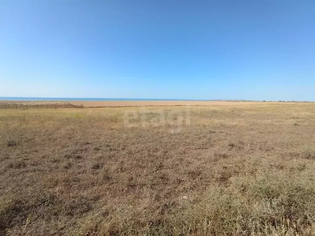 Участок в Крым, Ленинский район, с. Калиновка ул. Абденановой (6.3 ... - Фото 1