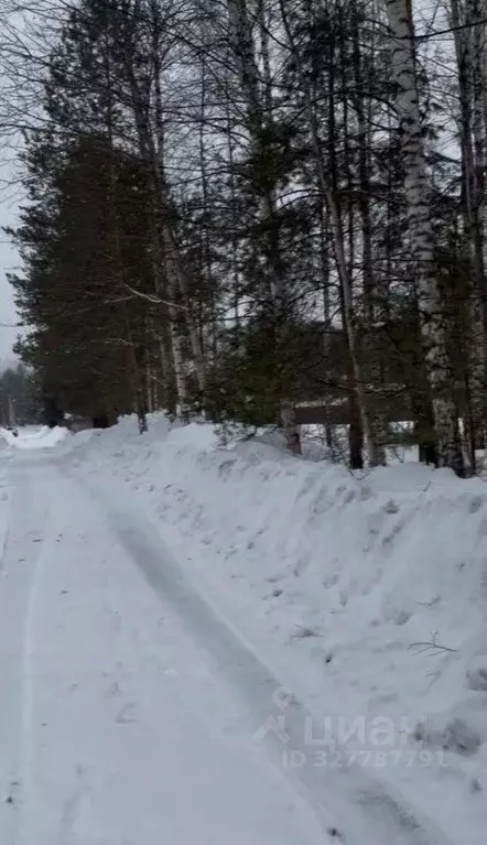 Участок, 10 сот., сельхоз (снт или днп) - Фото 2