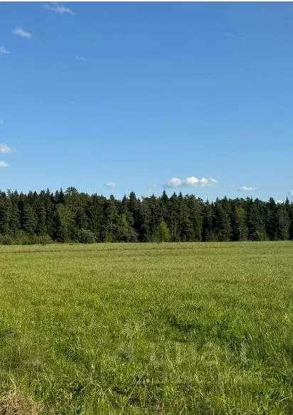 Участок в Московская область, Можайский городской округ, д. Макарово  ... - Фото 1