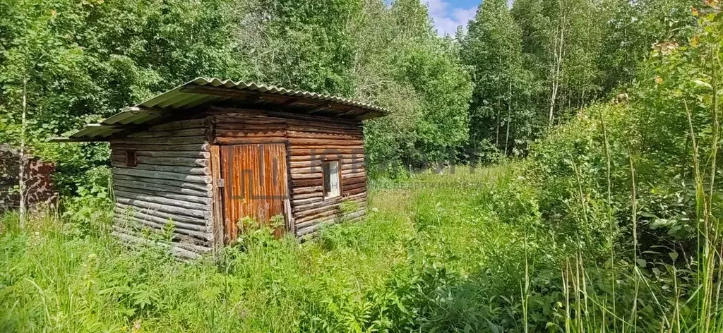 Участок в Свердловская область, Невьянский муниципальный округ, ... - Фото 1