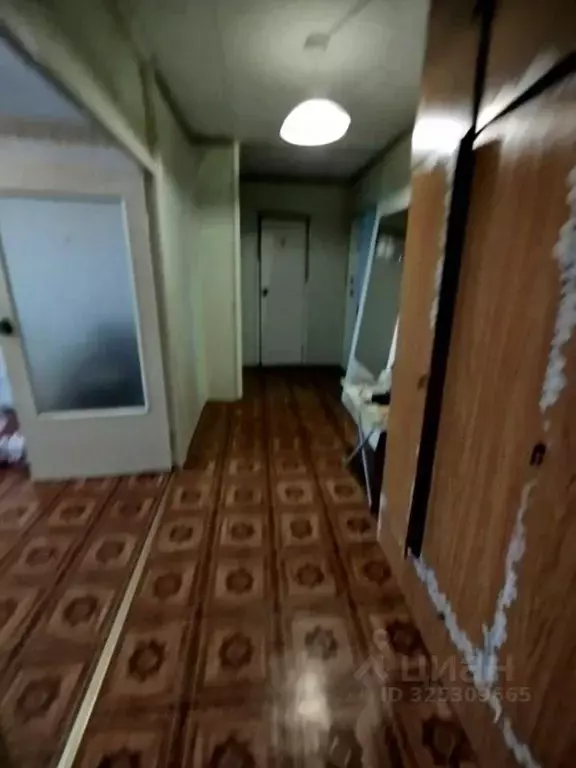 2-к кв. Костромская область, Кострома ул. Шагова, 150б (56.5 м) - Фото 2