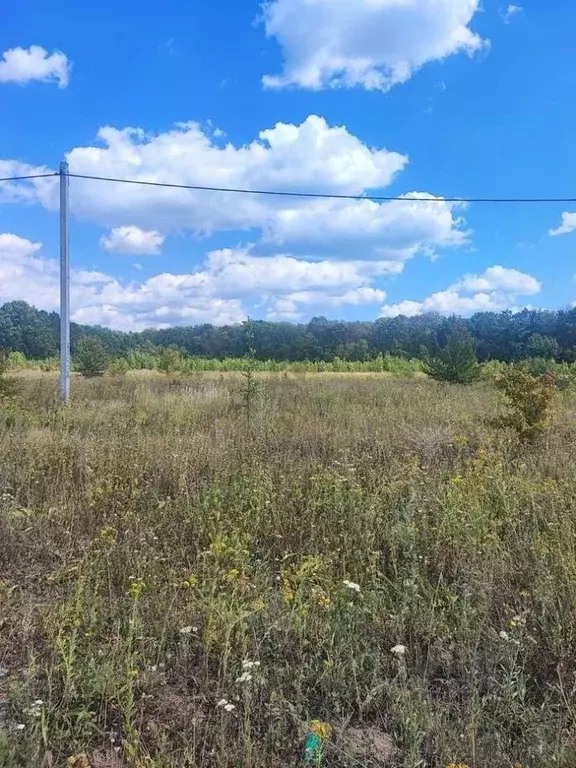 Участок в Белгородская область, Белгород ул. Виктора Лосева (15.0 ... - Фото 2