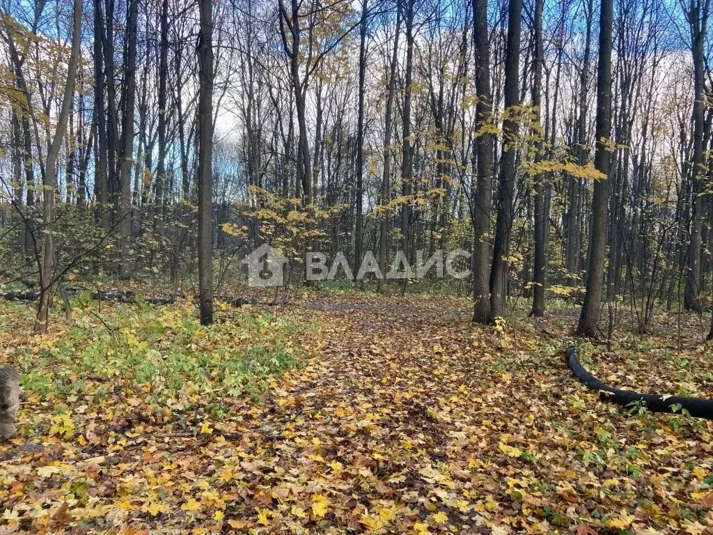 Участок в Нижегородская область, Нижний Новгород Заветы Мичурина Сад № ... - Фото 1