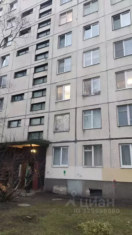 Комната Санкт-Петербург ул. Коллонтай, 47К4 - Фото 1