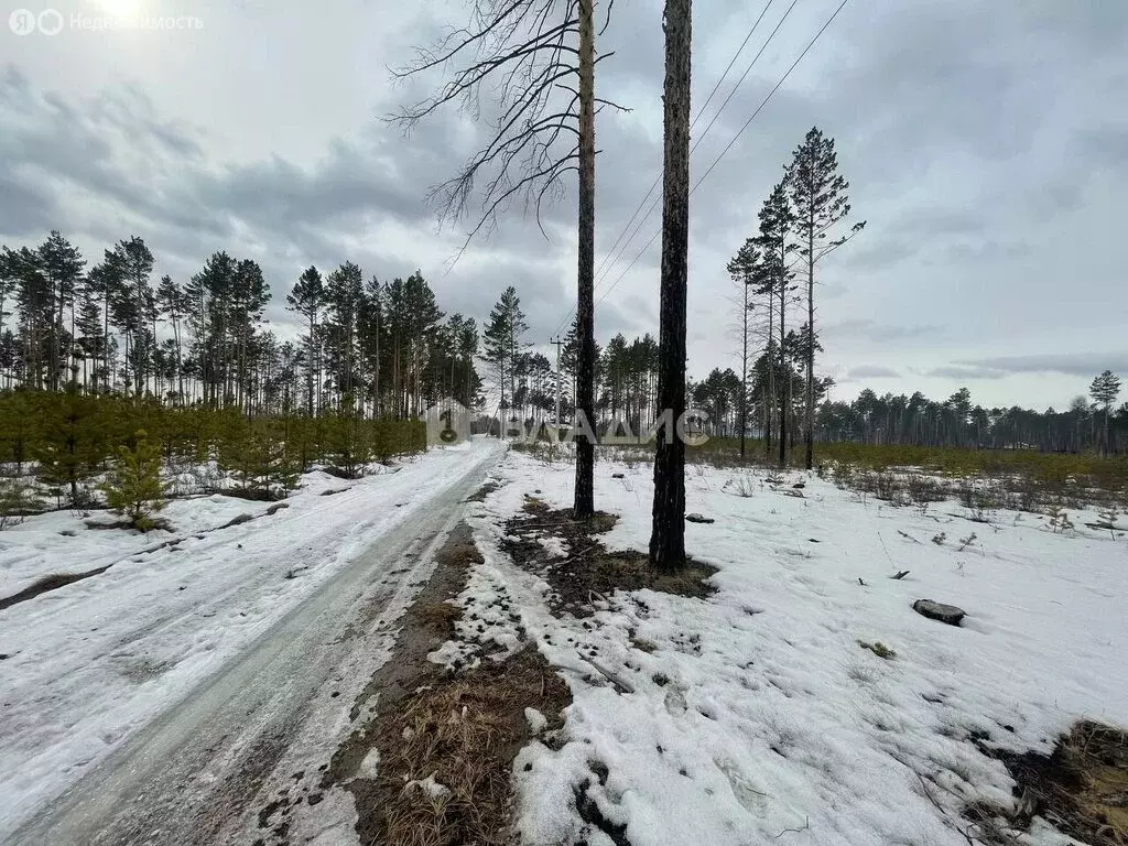 Участок в Читинский район, село Карповка, микрорайон Чистый ключ ... - Фото 1