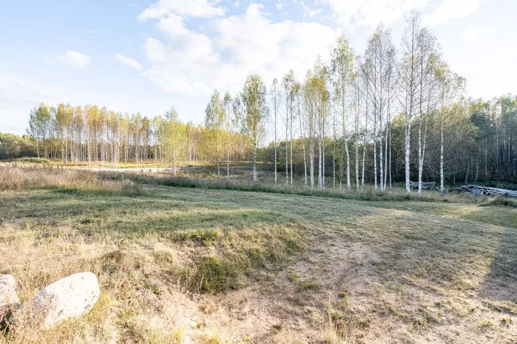 Участок в Ленинградская область, Всеволожский район, Бугровское ... - Фото 1