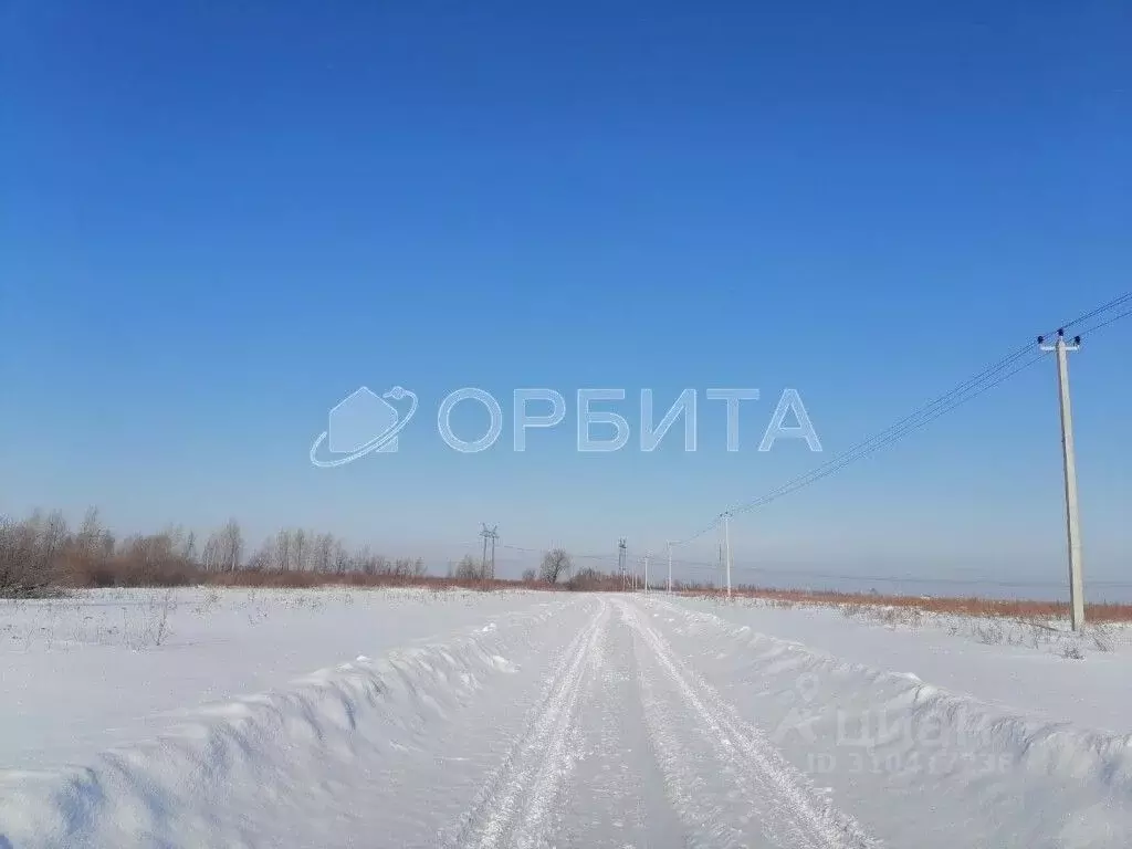 Участок в Тюменская область, Тюменский район, с. Щербак Центральная ... - Фото 0