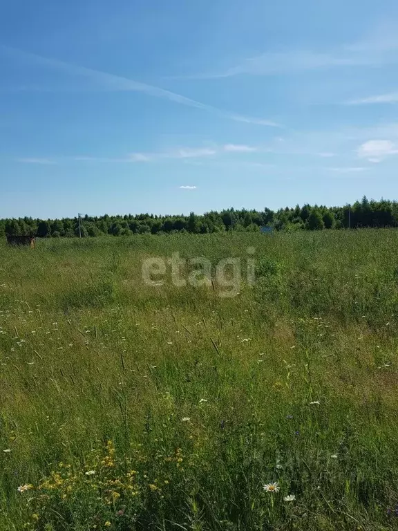 Участок в Калужская область, Калуга городской округ, д. Лихун ул. ... - Фото 1