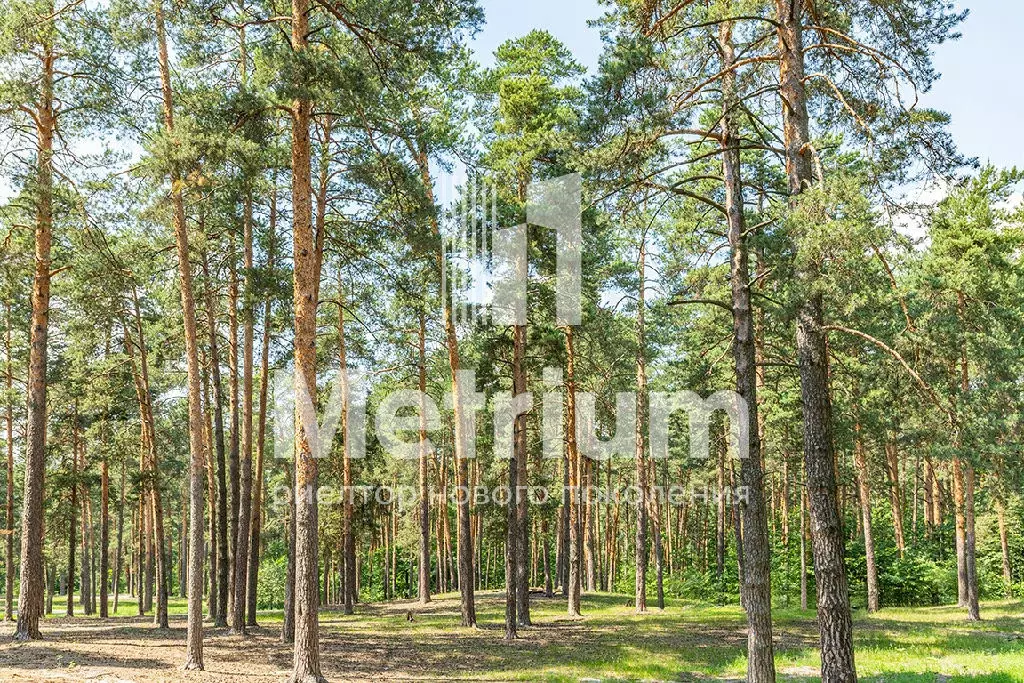Продается участок в КП Шервуд - Фото 0
