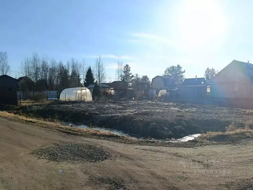 Участок в Ленинградская область, Тосненский район, Форносовское ... - Фото 2