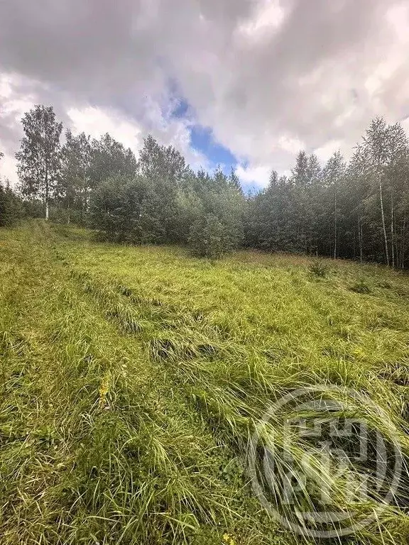 Участок в Ленинградская область, Всеволожский район, Колтушское ... - Фото 2