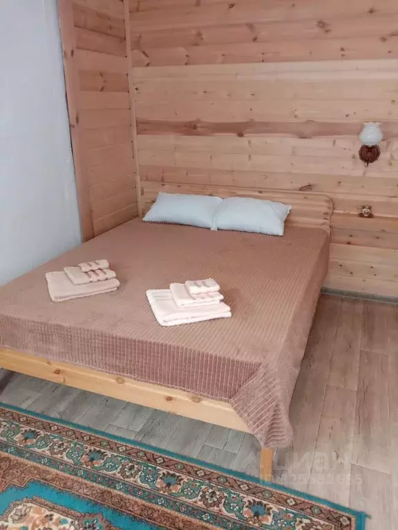 Дом в Нижегородская область, Городец  (250 м) - Фото 2