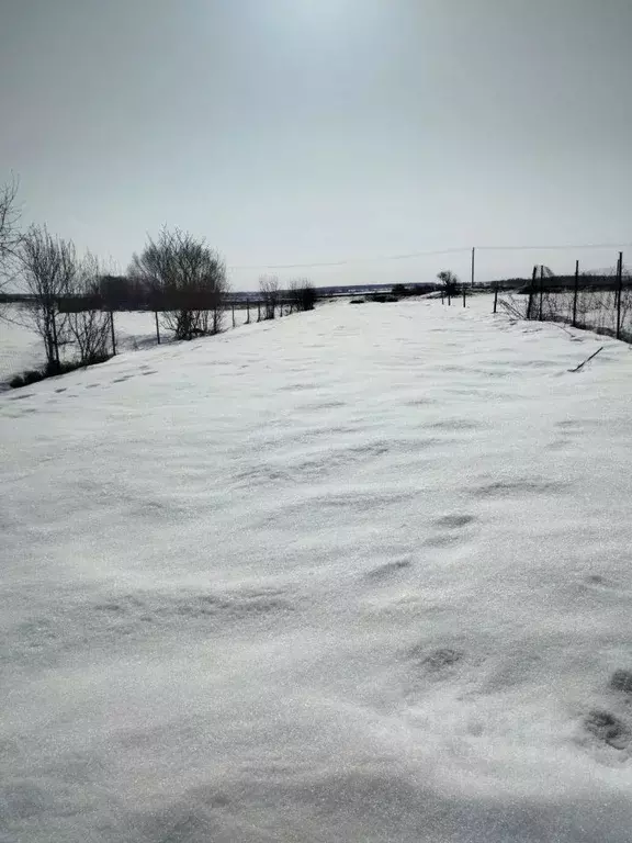 Участок в Московская область, Лотошино муниципальный округ, д. ... - Фото 2