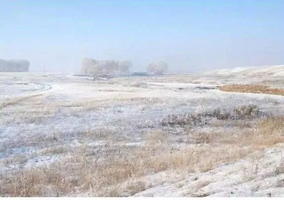 Участок в Иркутская область, Иркутский муниципальный округ, с. Урик  ... - Фото 2