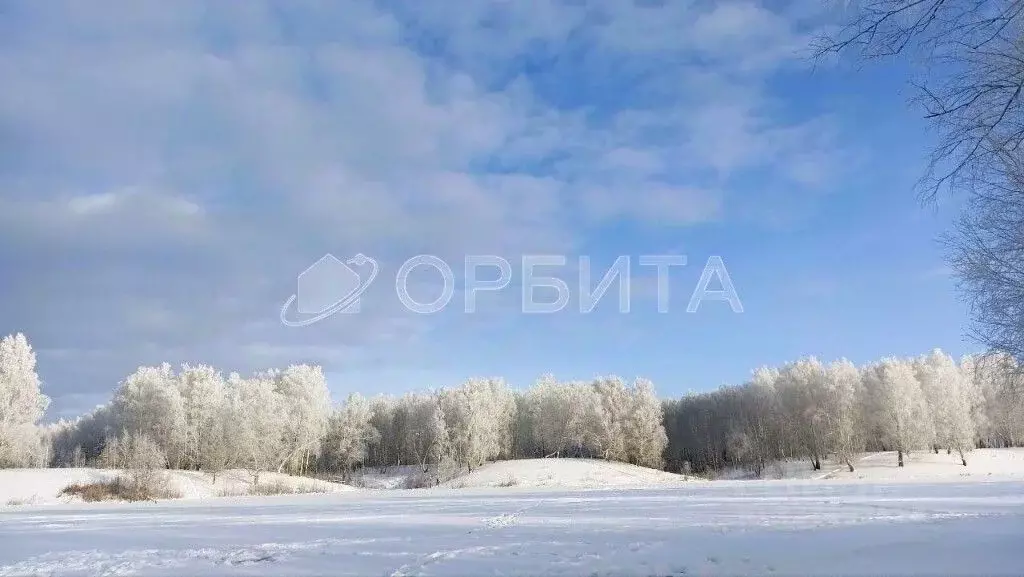 Участок в Тюменская область, Тюменский муниципальный округ, д. ... - Фото 1