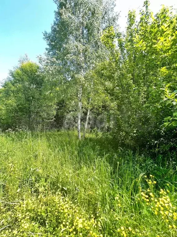 Купить Участок В Бабынинском Районе Калужской Области