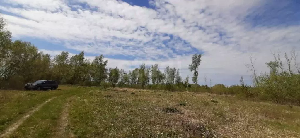 Участок в Тюменская область, Тюменский муниципальный округ, ... - Фото 1