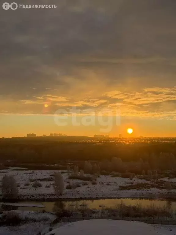 Квартира-студия: Ярославль, улица Академика Колмогорова, 22 (23.4 м) - Фото 2