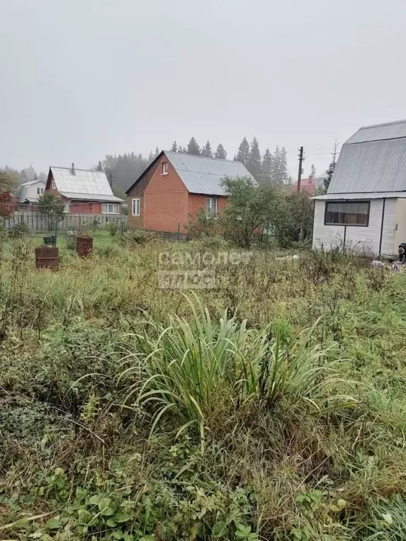 Участок в Московская область, Солнечногорск городской округ, Энтузиаст ... - Фото 1