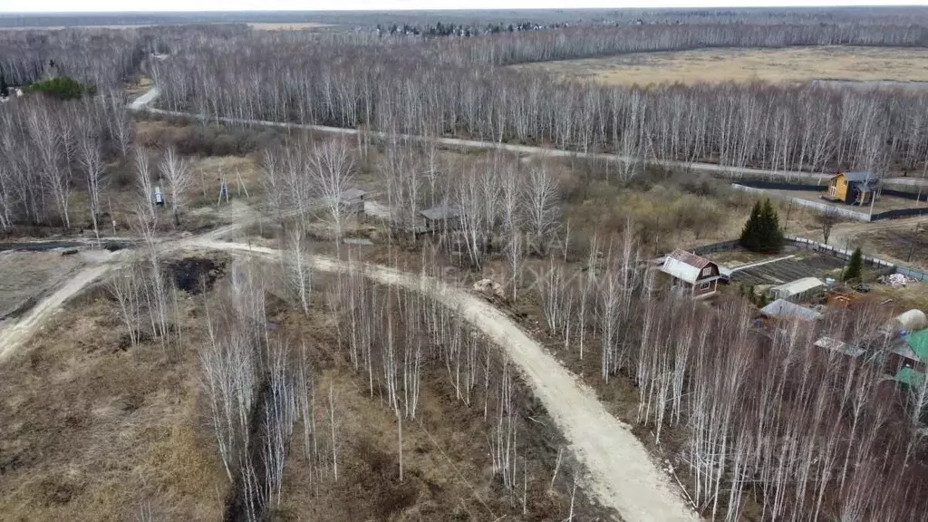 Участок в Тюменская область, Нижнетавдинский район, Тюневское с/пос, ... - Фото 0