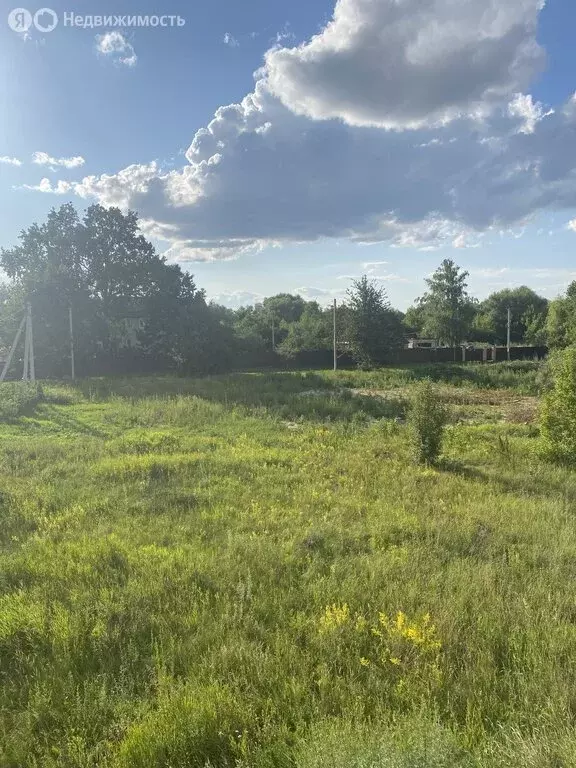 Дом в Новая Усмань, Набережная улица, 194 (163 м) - Фото 0