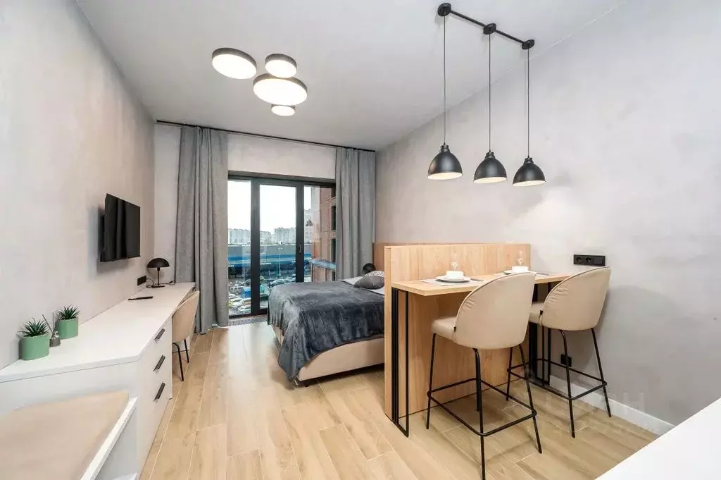 Студия Санкт-Петербург наб. Макарова, 58 (30.0 м) - Фото 0