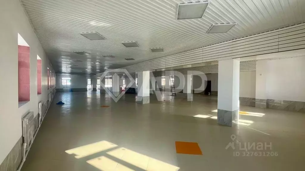 Помещение свободного назначения в Татарстан, с. Пестрецы ул. ... - Фото 1