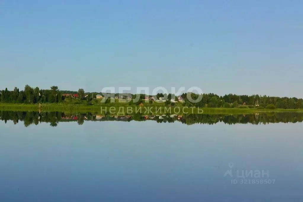 Участок в Пермский край, Березники муниципальный округ, д. Турлавы ул. ... - Фото 1