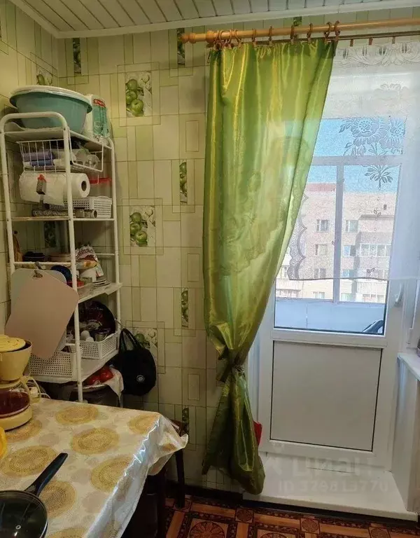 Комната Санкт-Петербург, Санкт-Петербург, Петергоф Чебышевская ул., ... - Фото 2