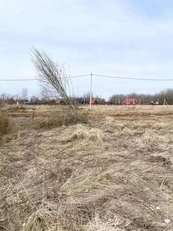 Участок в Новгородская область, Новгородский район, Ракомское с/пос, ... - Фото 1