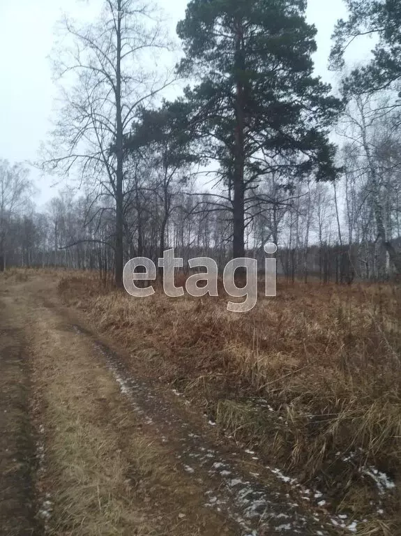 Участок в Нижнетавдинский район, садоводческое некоммерческое ... - Фото 1