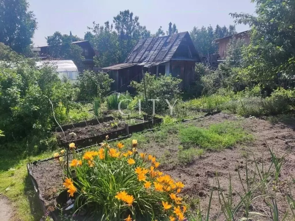 Дом в Тюменская область, Тюмень Солнечное СНТ, ул. Земляничная, 63 (20 ... - Фото 2
