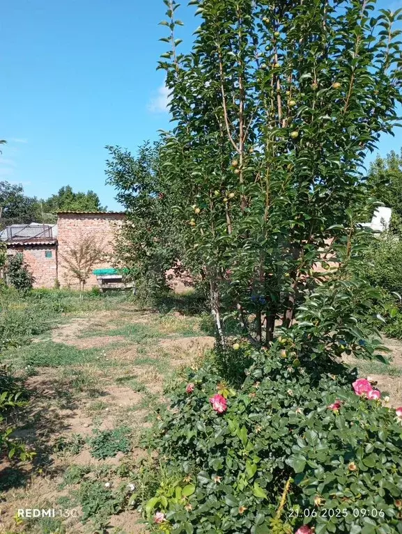 Участок 7 сот. (СНТ, ДНП) - Фото 1
